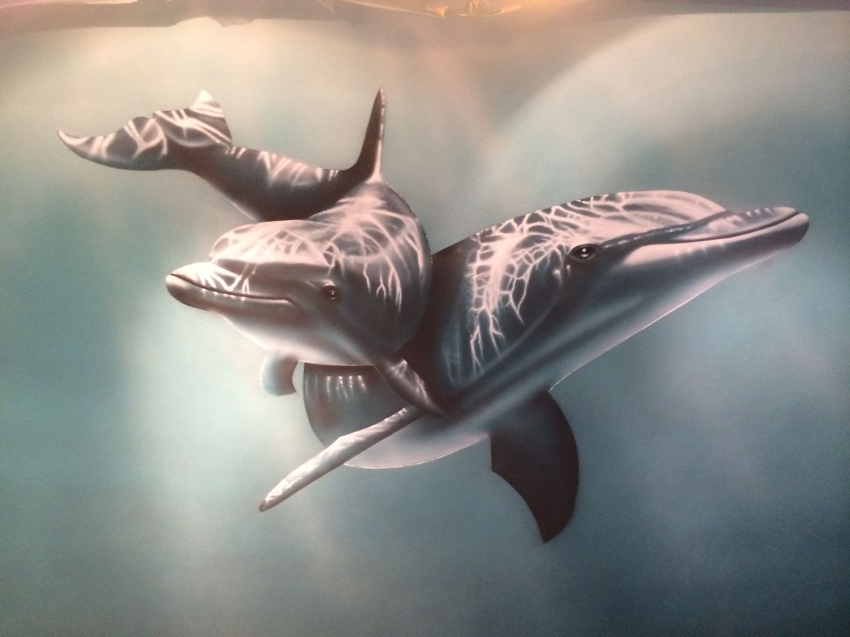 060919_MDJ_SimonStreakDolphins.JPG